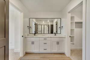 Full bathroom featuring wood finished floors, a sink, and double vanity