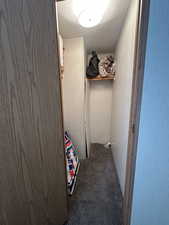 Bedroom closet