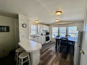 Kitchen with dark wood-style flooring, plenty of natural light, white appliances, a sink, and vaulted ceiling
