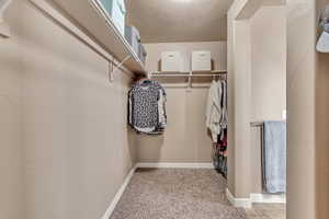 Spacious closet featuring carpet