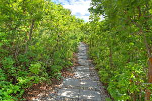 Path to deck