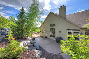 Back patio