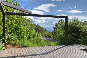 Trex deck with a mountain view