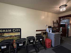 Miscellaneous room featuring a textured ceiling and carpet floors