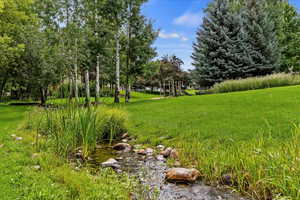 community grounds