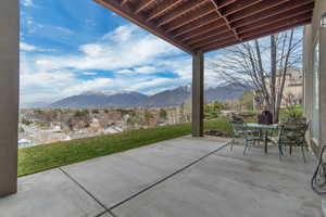 View from Basement Patio
