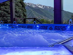Swim spa with view