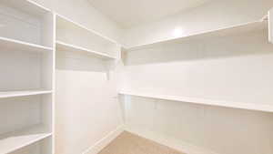 Spacious closet featuring carpet flooring
