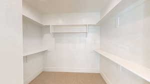 Spacious closet featuring light colored carpet