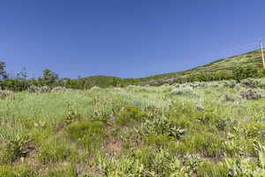 View of landscape featuring a mountain view