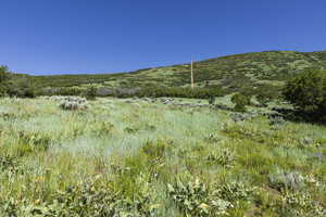 View of nature