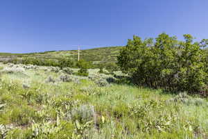 View of landscape