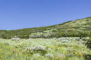 View of nature featuring a mountain view