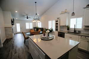 Kitchen featuring tasteful backsplash, dark wood-style flooring, a sink, dishwasher, and a ceiling fan