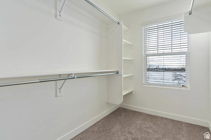 Walk in closet featuring carpet