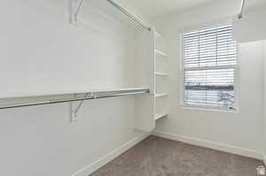 Walk in closet featuring carpet