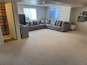 Large basement family area