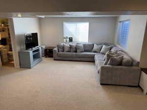 Large basement family room