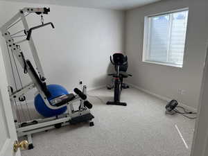 Room with baseboards and carpet flooring