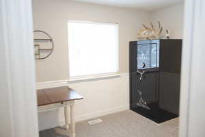 Interior space with a wainscoted wall, visible vents, and carpet