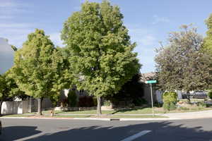 View of asphalt road with sidewalks and curbs