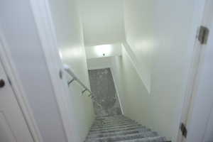 Stairs featuring carpet flooring