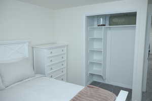 Bedroom with a closet and a walk in closet