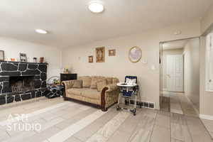 Living area featuring baseboards, a premium fireplace, and visible vents