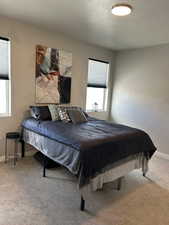 Master bedroom featuring plenty of natural daylight