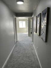 Hall featuring carpet floors, baseboards, and a textured ceiling