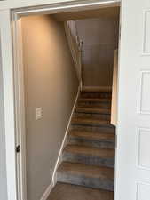 Stairs featuring baseboards and carpet floors