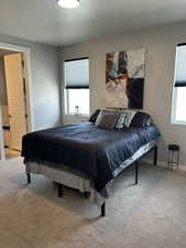 Master carpeted bedroom featuring multiple windows, baseboards, and a textured ceiling