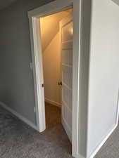 Interior space featuring carpet, baseboards, under stairs
