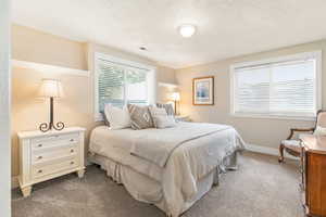 Bedroom with baseboards, carpet flooring, a textured ceiling, and visible vents