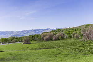 Photo 1 of 1509  PRESERVE DR
