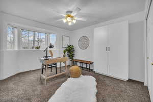 Home office with baseboards, a ceiling fan, carpet floors, and a healthy amount of sunlight