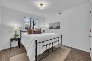 Bedroom with baseboards, carpet flooring, and visible vents