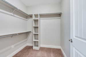 Spacious closet with carpet