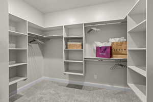 Spacious closet featuring carpet floors