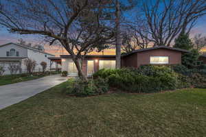View of front of house with a  mature lawn and long driveway