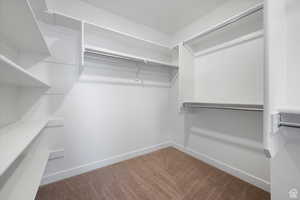 Spacious closet with carpet