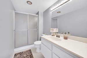 Full bathroom featuring toilet, vanity, and a shower stall