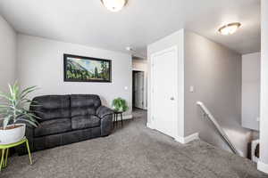 Living area featuring baseboards and carpet flooring