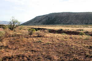 Property view of mountains with a rural view