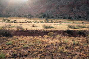 View of nature featuring a rural view