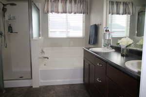 Bathroom with plenty of natural light, separate tub and shower with double sink vanity
