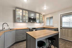 Kitchen featuring dark wood-style floors, a sink, butcher block countertops, gray cabinets, and appliances with stainless steel finishes