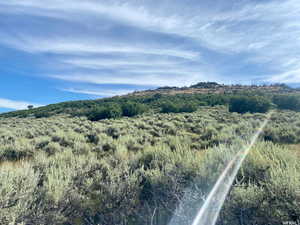 Pic was taken at the road in front of the lot and looking up the gradual slope of the lot.