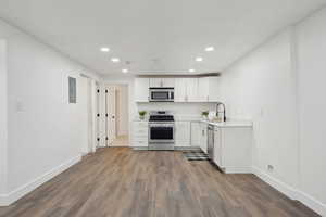 Kitchen with electric panel, a sink, recessed lighting, stainless steel appliances, and dark wood-type flooring