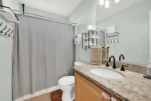 Full bathroom featuring a shower with shower curtain, wood finished floors, toilet, and vanity